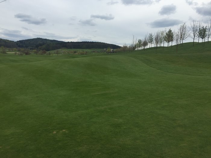 Jak začít hrát golf?